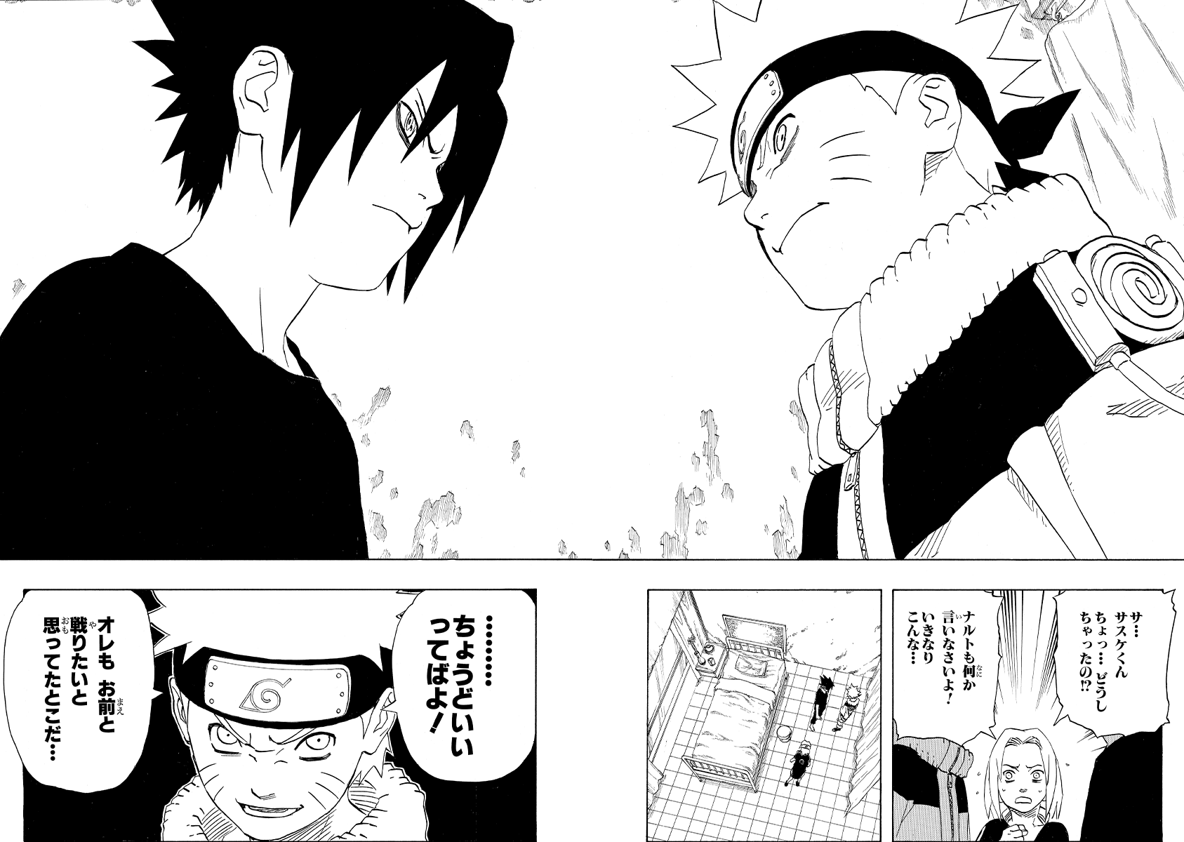 NARUTOーナルトー
